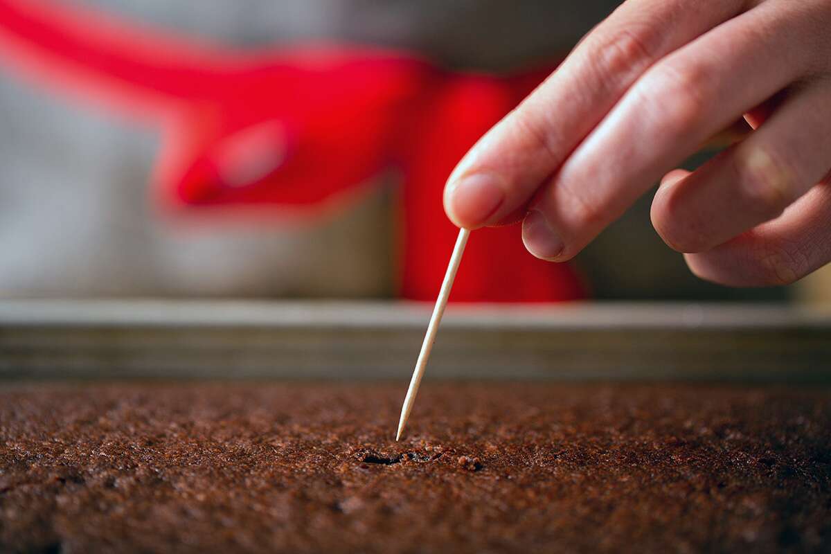 A baker stuck a toothpick in a chocolate cake to see if it had