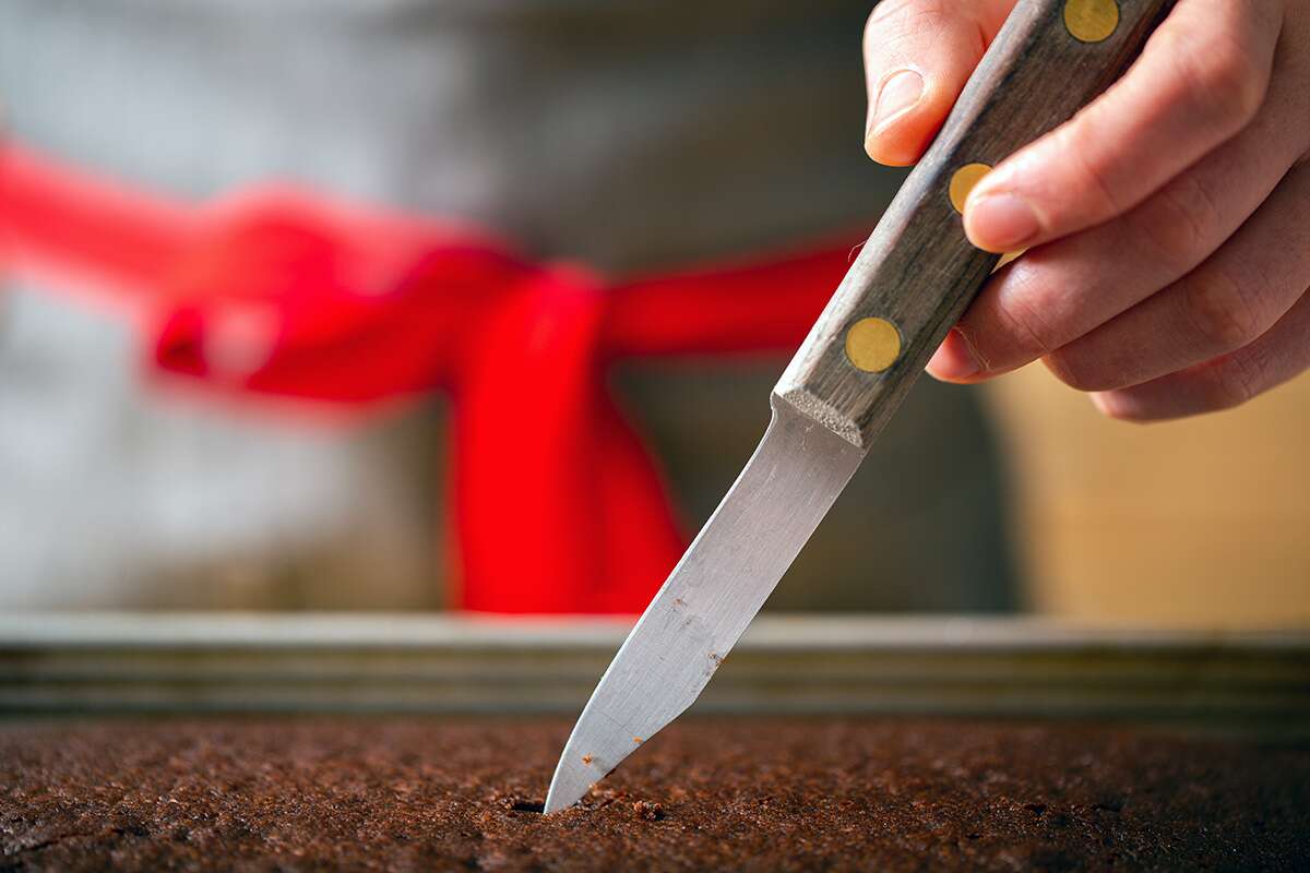 A baker stuck a paring knife into a chocolate cake to see if it had