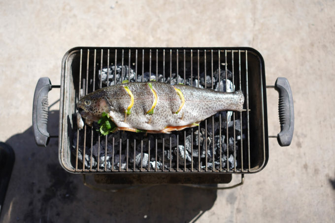 rainbow trout on a small charcoal grill