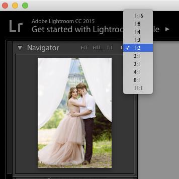 How to zoom out in Lightroom