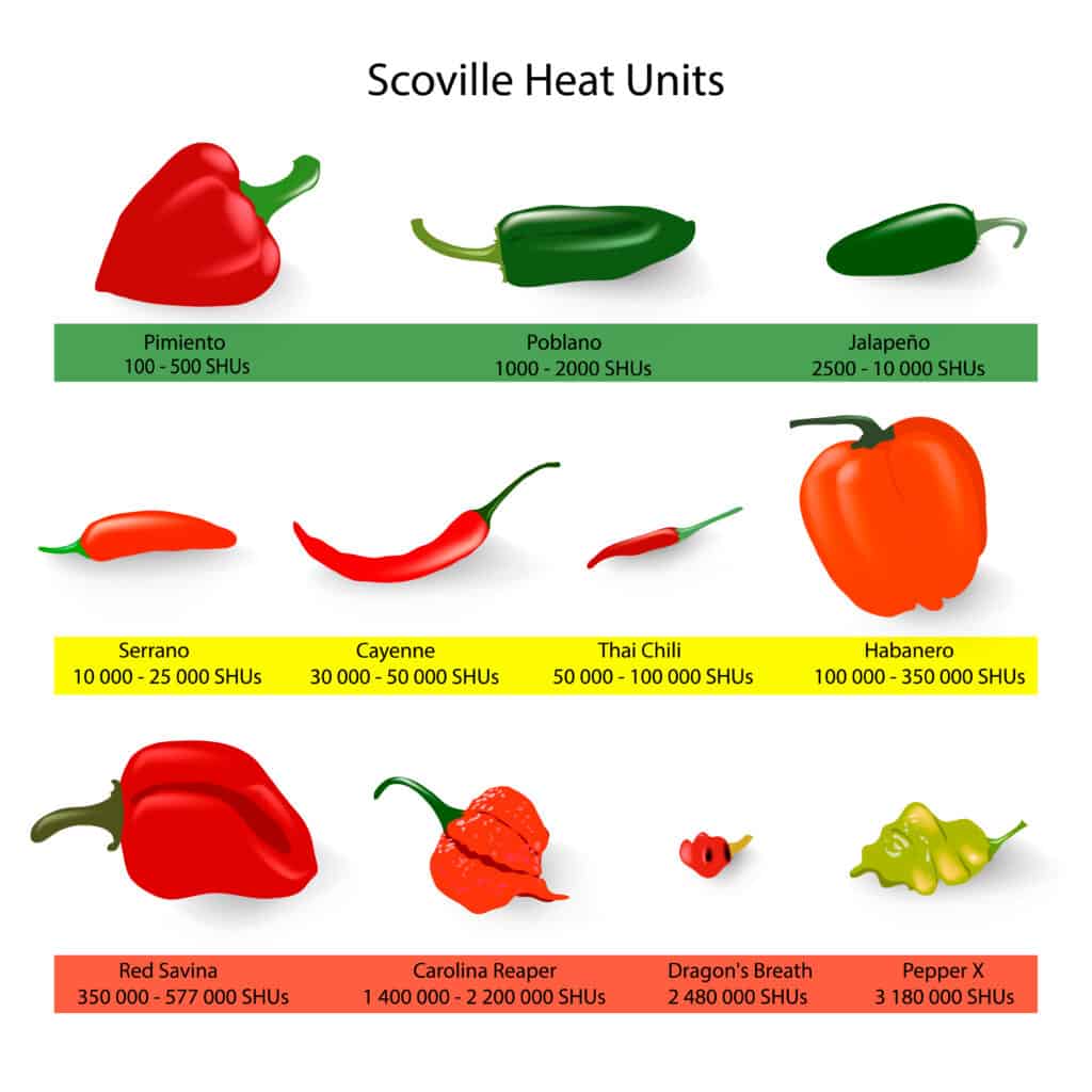 Scoville chili flakes the spiciness of chili