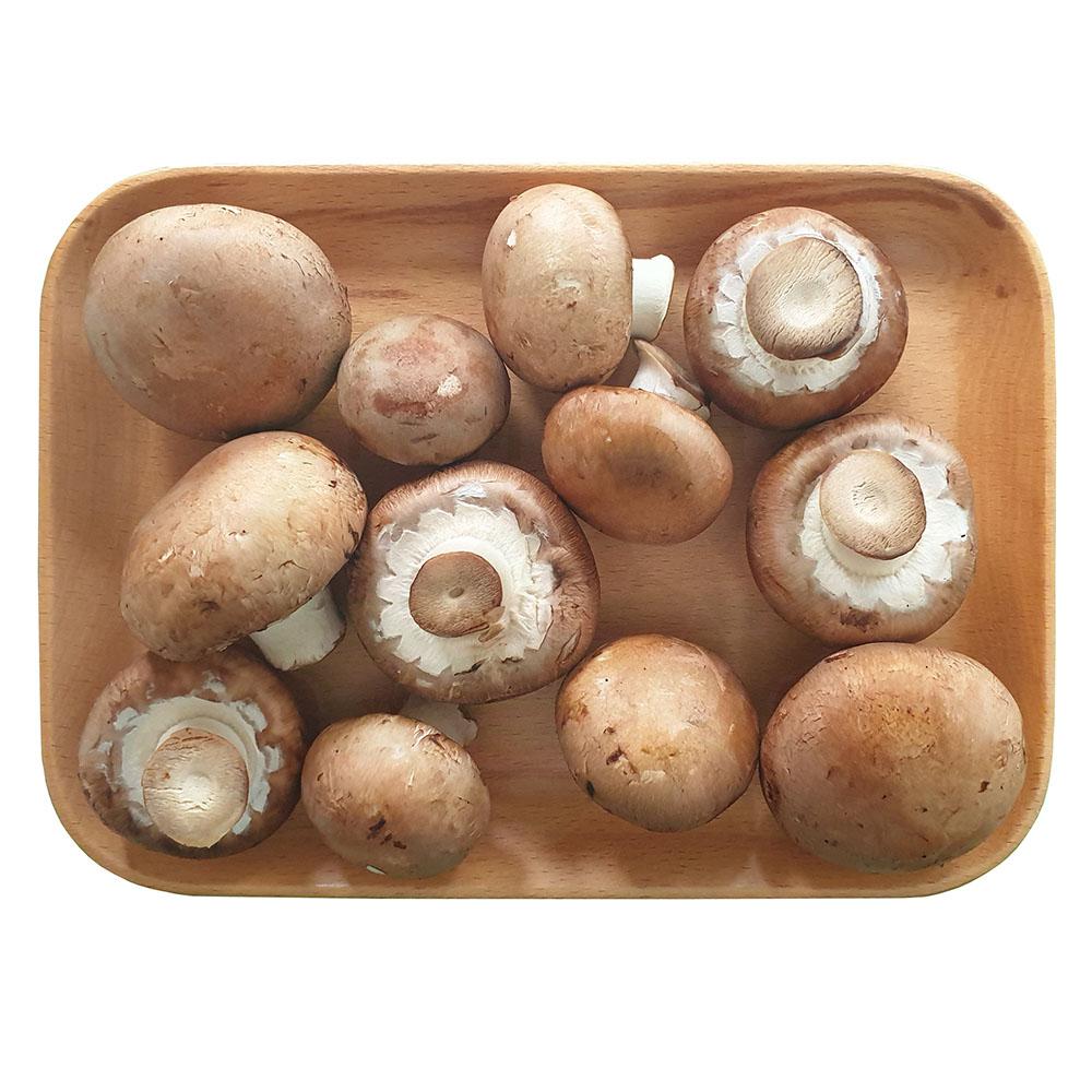 Fresh brown mushroom size