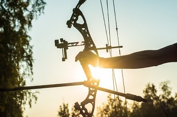 Archery hunting squirrel