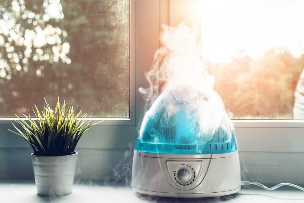 Cool-Mist humidifier on the table