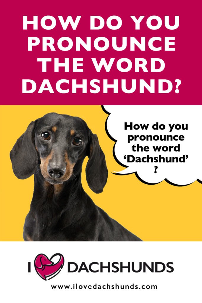 How do you pronounce the word Dachshund?