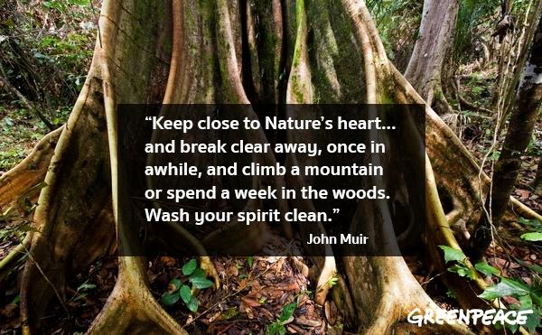Quotes about nature