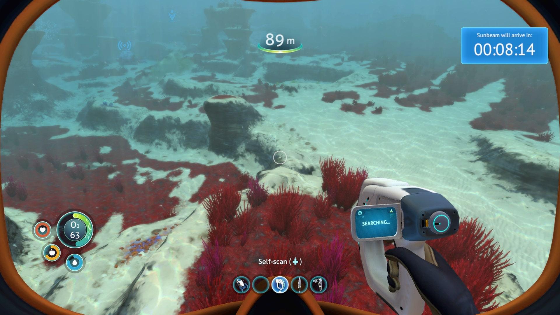 grass plateau subnautica 1