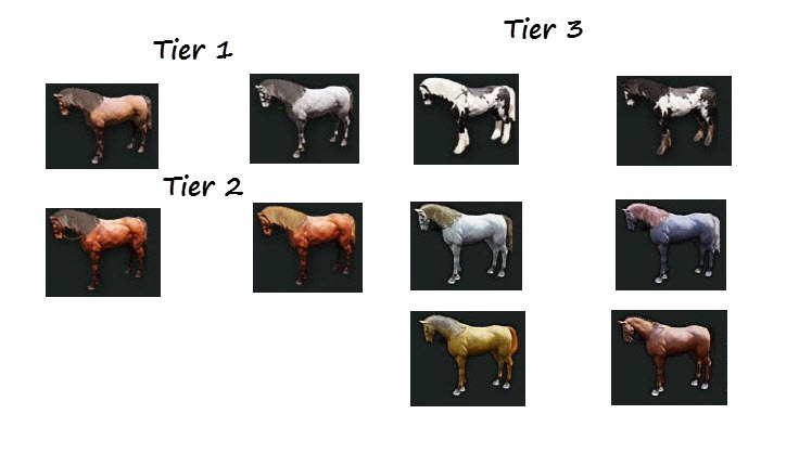 bdo-horse-tier-list-3