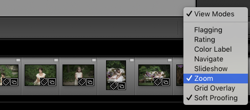 Lightroom Zoom Shortcut