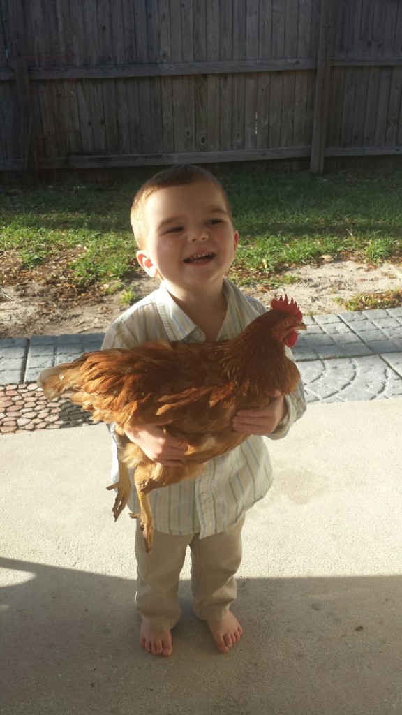 boy hugging chicken