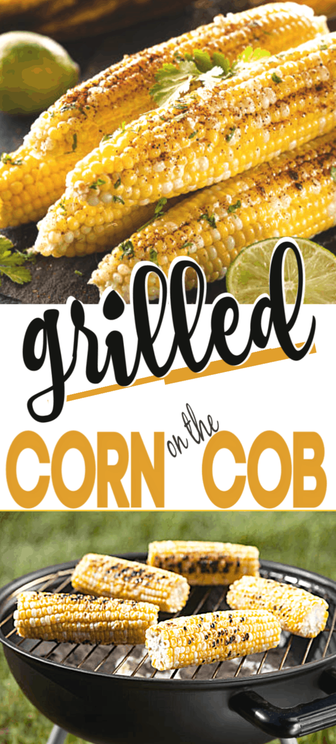 Grilled corn on the cob in the best foil