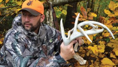 qdma_rattling_3_574_350_s