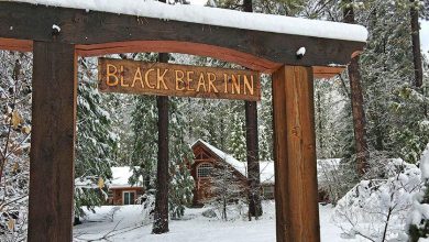 Arnold Black Bear Inn by Lisa Boulton