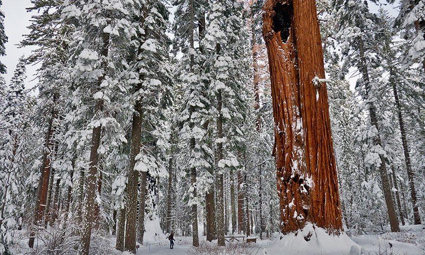 Lisa Boulton's Arnold Rim Trail