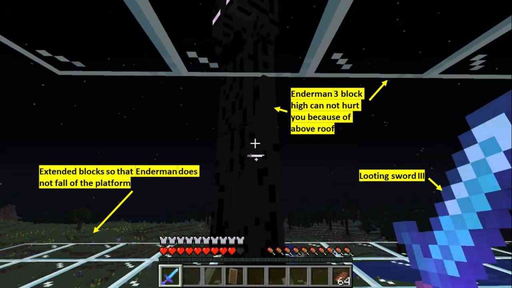 How to find Enderman and make it appear in Minecraft