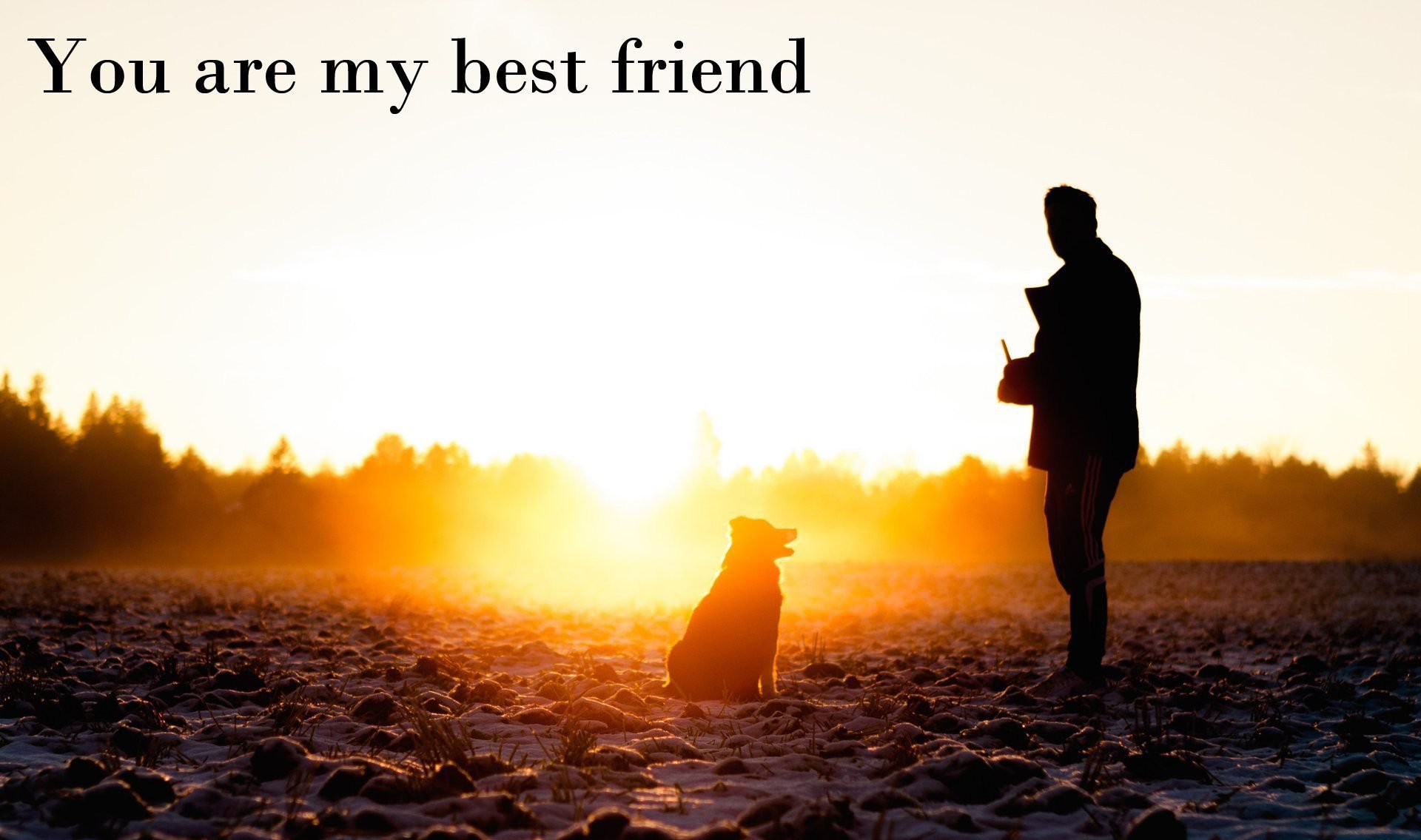 21 signs that your dog is your best friend