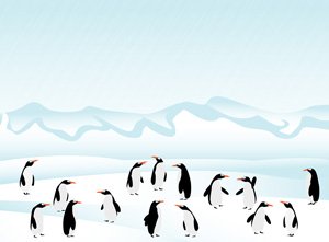 a population of penguins