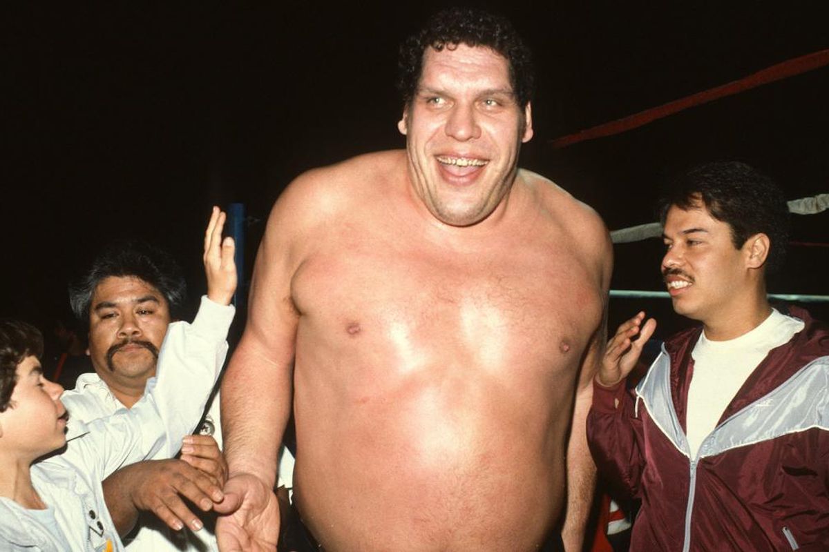Image result for andre the giant