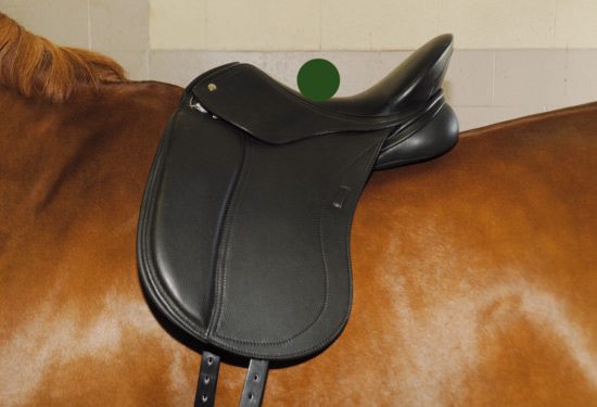 This saddle shows where the center of gravity is.