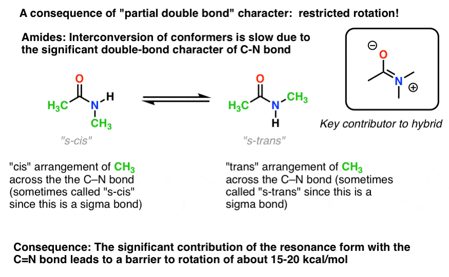 one consequence of partial double bond character in amides is that they have restricted rotation s cis s trans barrier to rotation about 15 to 20 kcal per mol