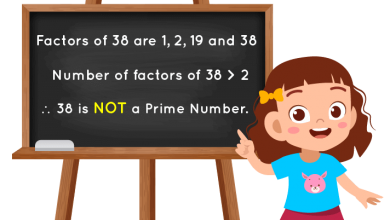 Is 38 a Prime or Composite?