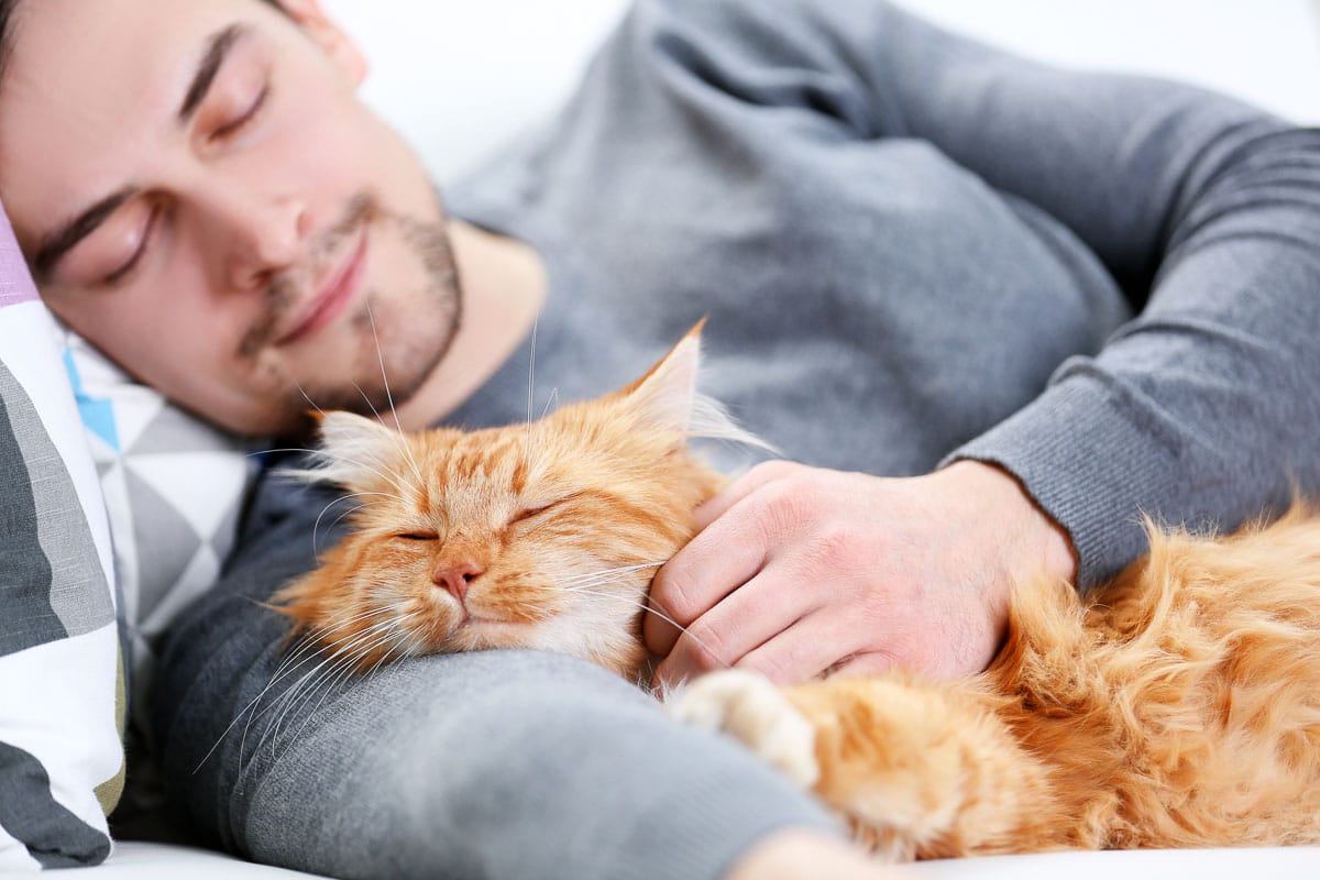 Young man sleeping with a fluffy red cat