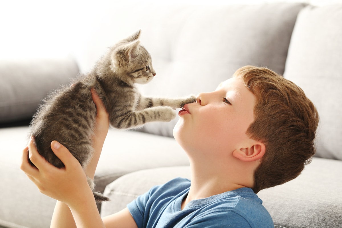 Child with kitten on gray sofa at home Why do cats lick your nose