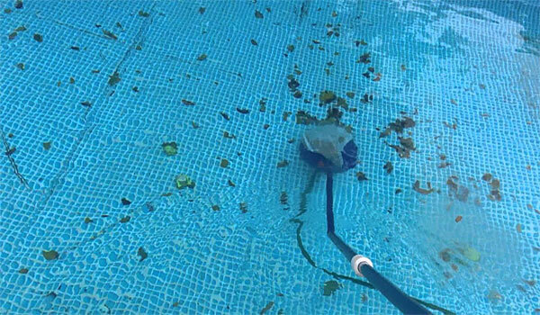 Intex-pool-Cleaning-with-Leaf-Master