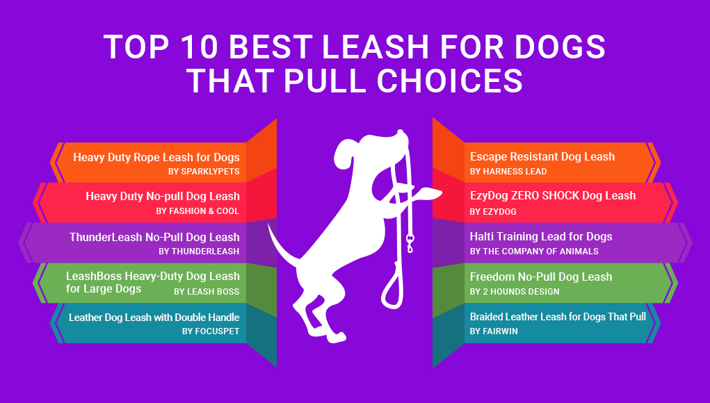 Leashes for dogs that pull