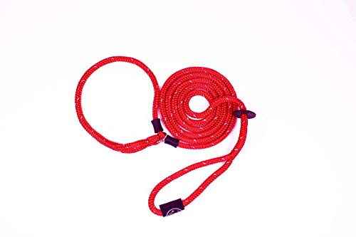 Escape Resistant Leash by Harness Lead