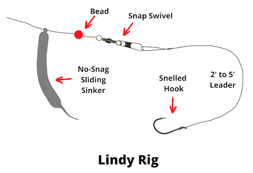 Pictures of the Lindy . rig