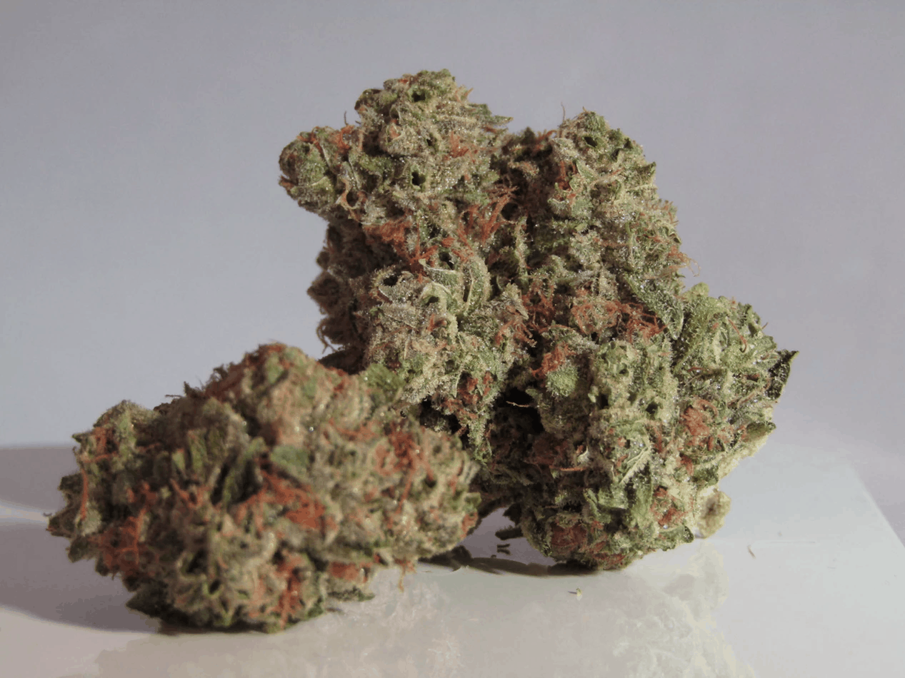 Close-up image of cannabis