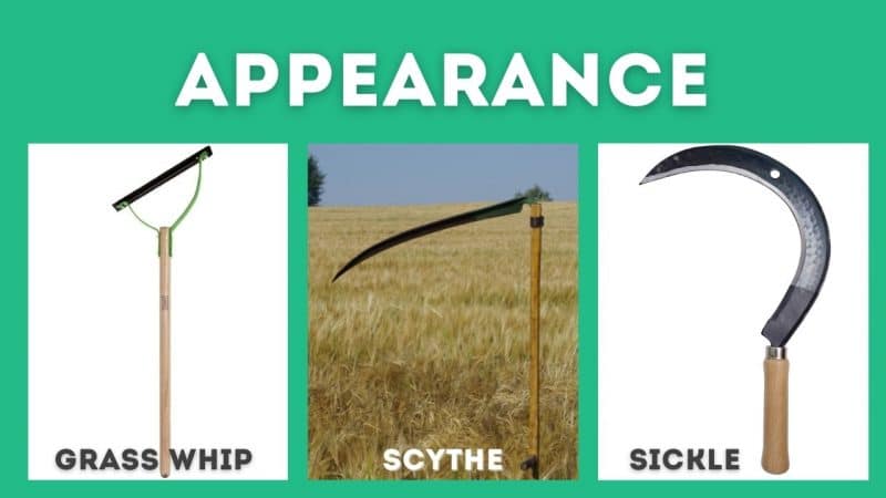 whip vs scythe vs sickle