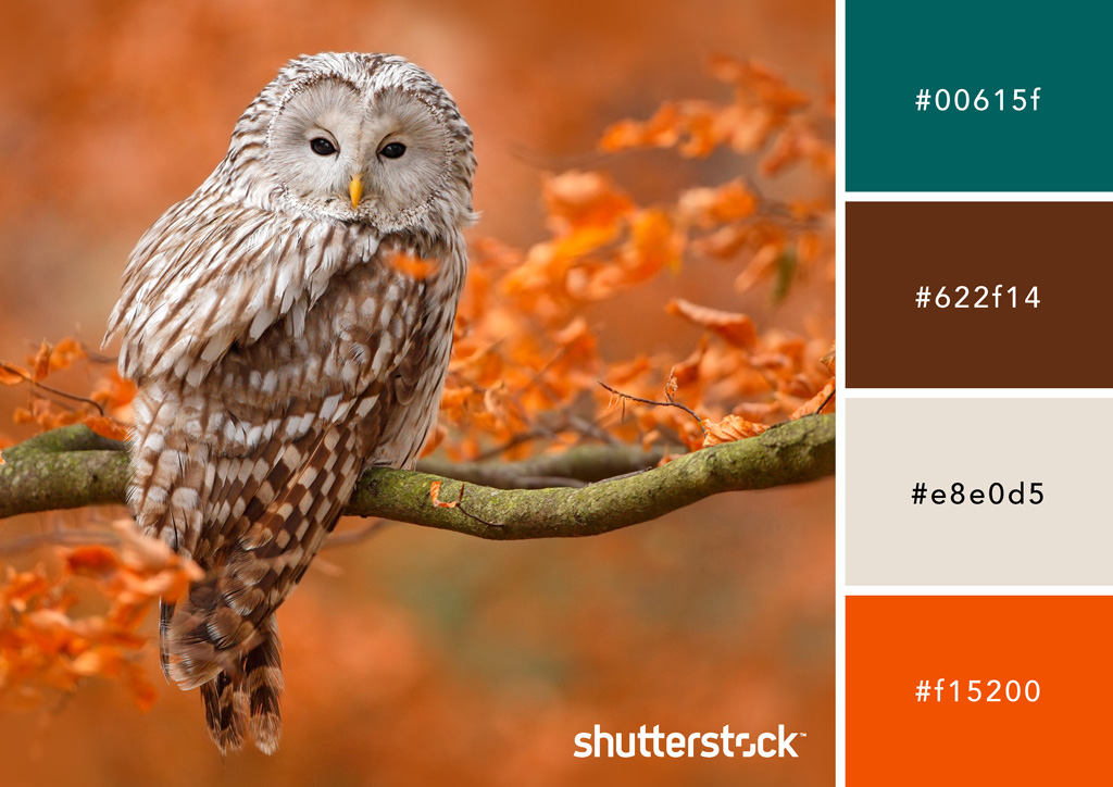 How to Design With Brown: Color Theory, Symbolism, and On-Trend Palettes — Mid-Century Autumnal