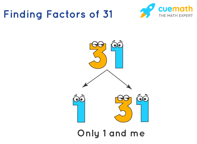 Find the factors of 31