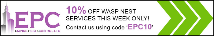 wasp code 3