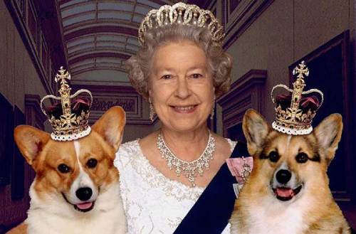 Elizabeth II and her little corgis