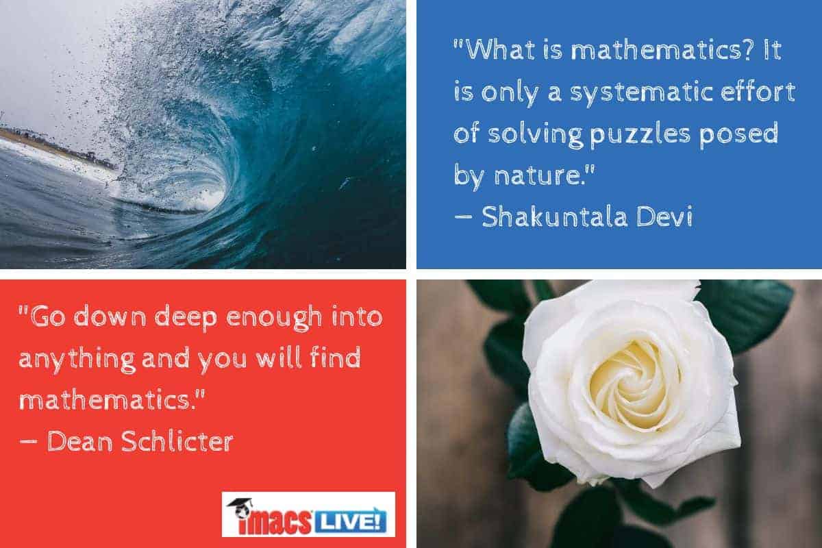 Quotes by Dean Schlicter and Shakuntula Devi. The beauty of math can be seen in flowers and waves.