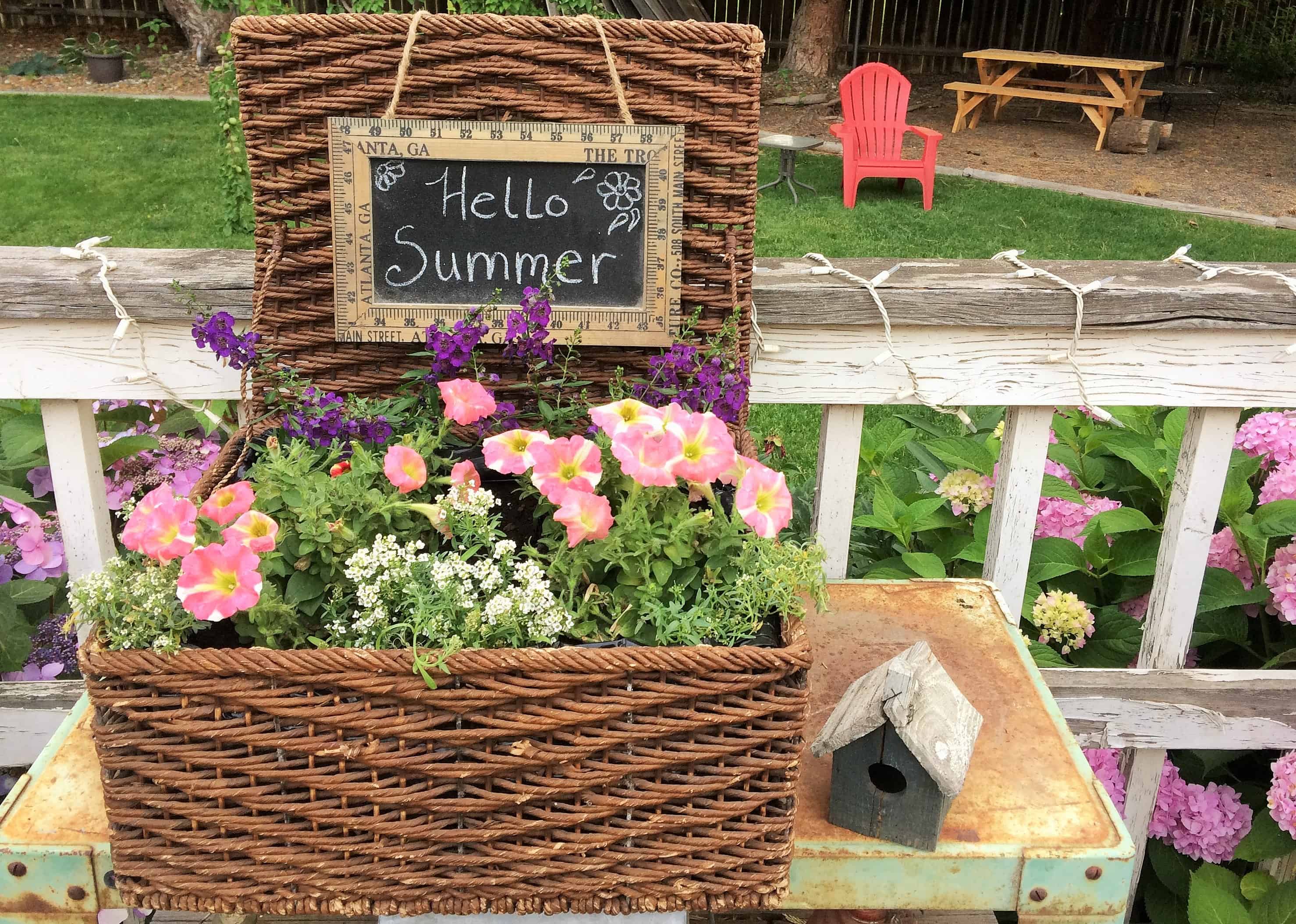 Flowers growing in wicker baskets with Blackboard Sign Hello Summer