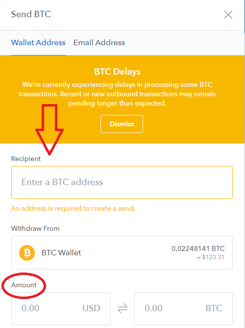 Send bitcoin wallet address