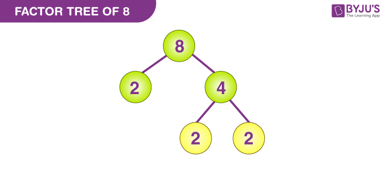 8 . factor tree