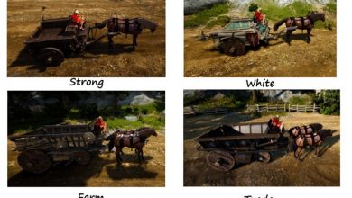 bdo-wagons