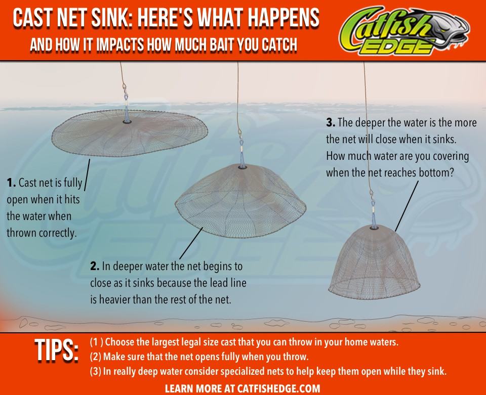 How to capture more Shad Cast Net Sink graphics