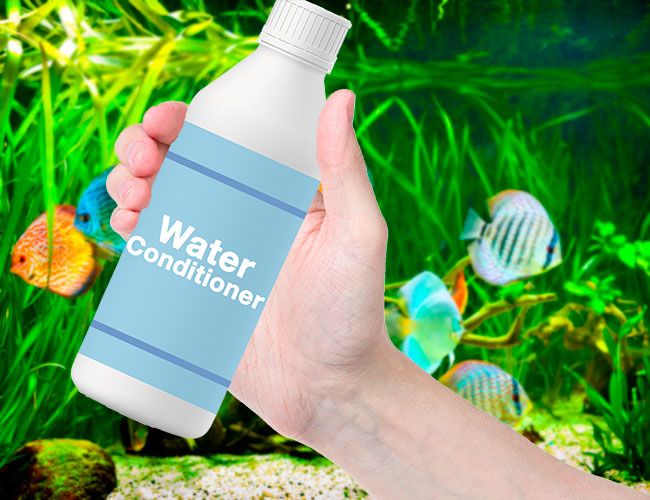 Air-conditioner water bottle placed in front of freshwater aquarium