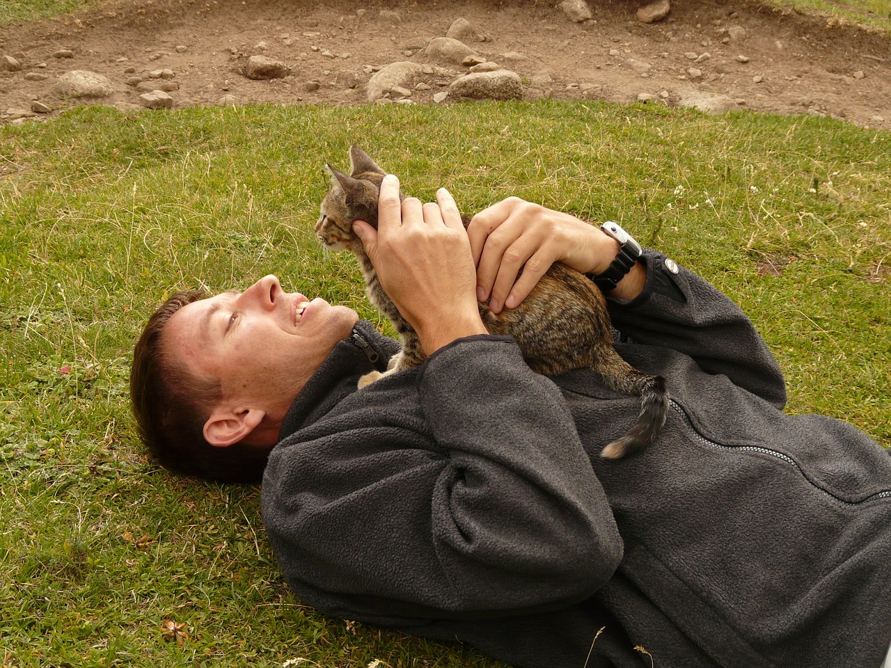 the cat sits on the man