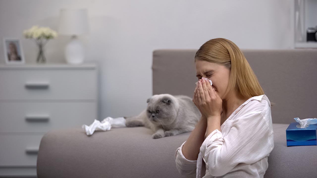 Woman sneezing next to a cat