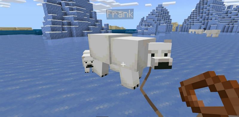 Then use the conductor on the polar bear and it will follow you everywhere.
