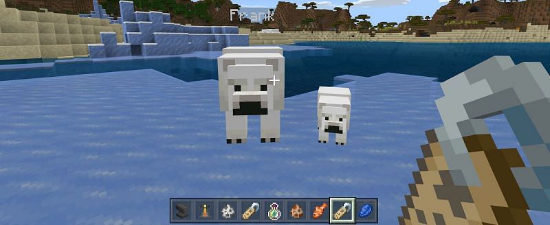 Then change the name tag to the name you want to give your polar bear and then take the used name tag from the anvil.