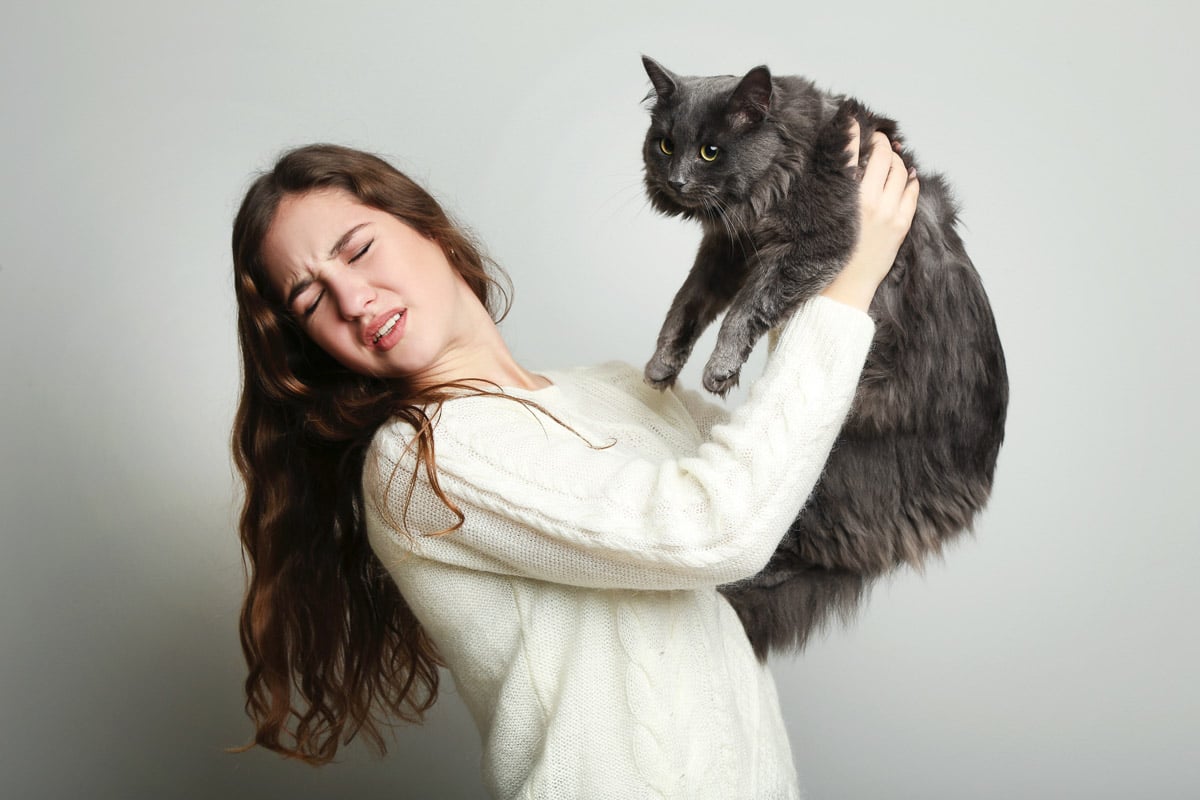 Young woman with allergies hugging cat on gray background wondering why my cat eats my hair