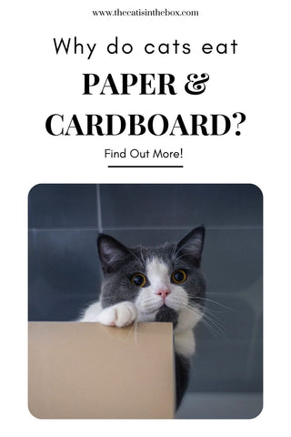 Why Cats Eat Paper and Cardboard Friendly Pins Pinterest